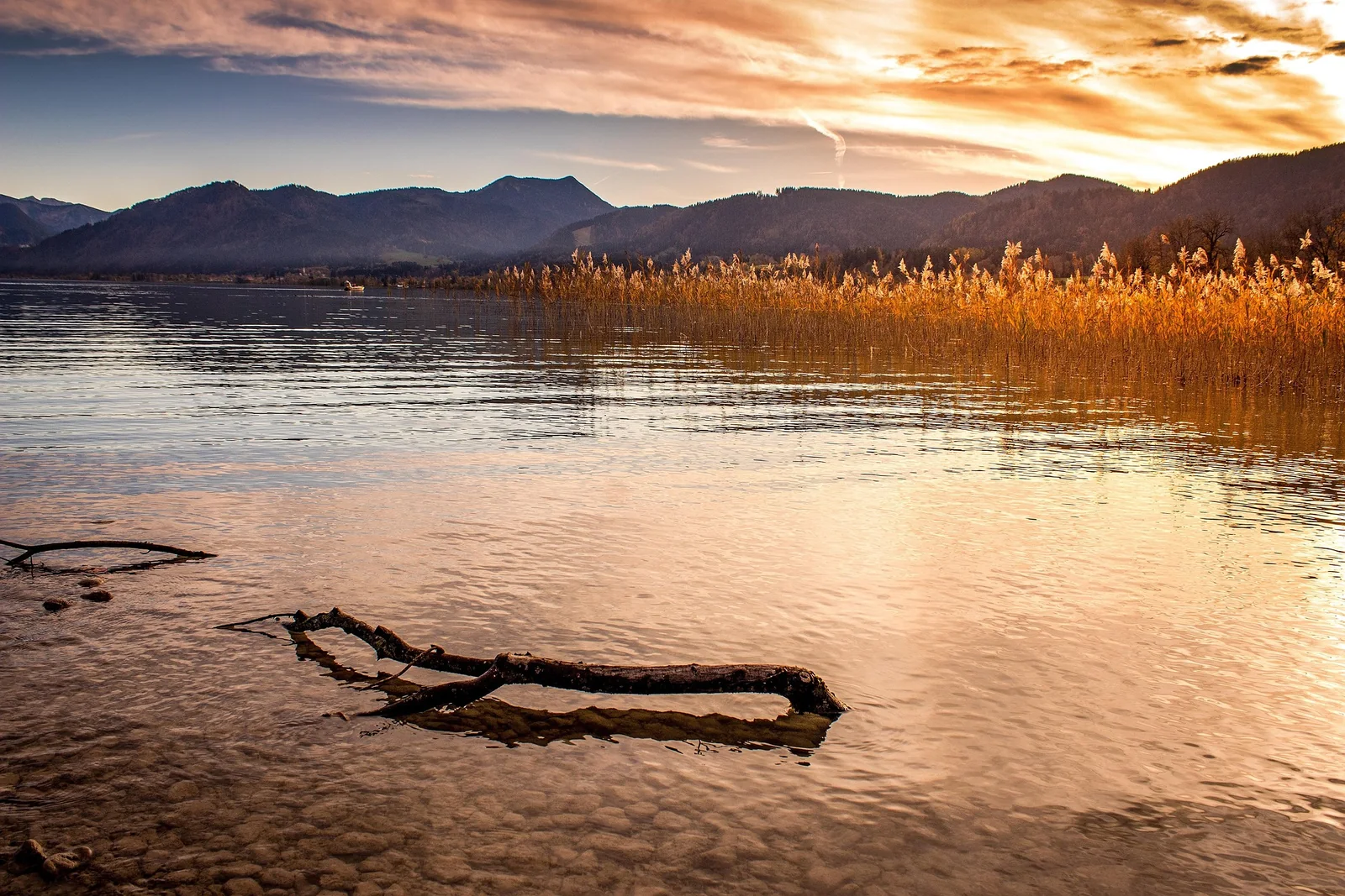 See mit Schilfufer und Bergen im Abendlicht