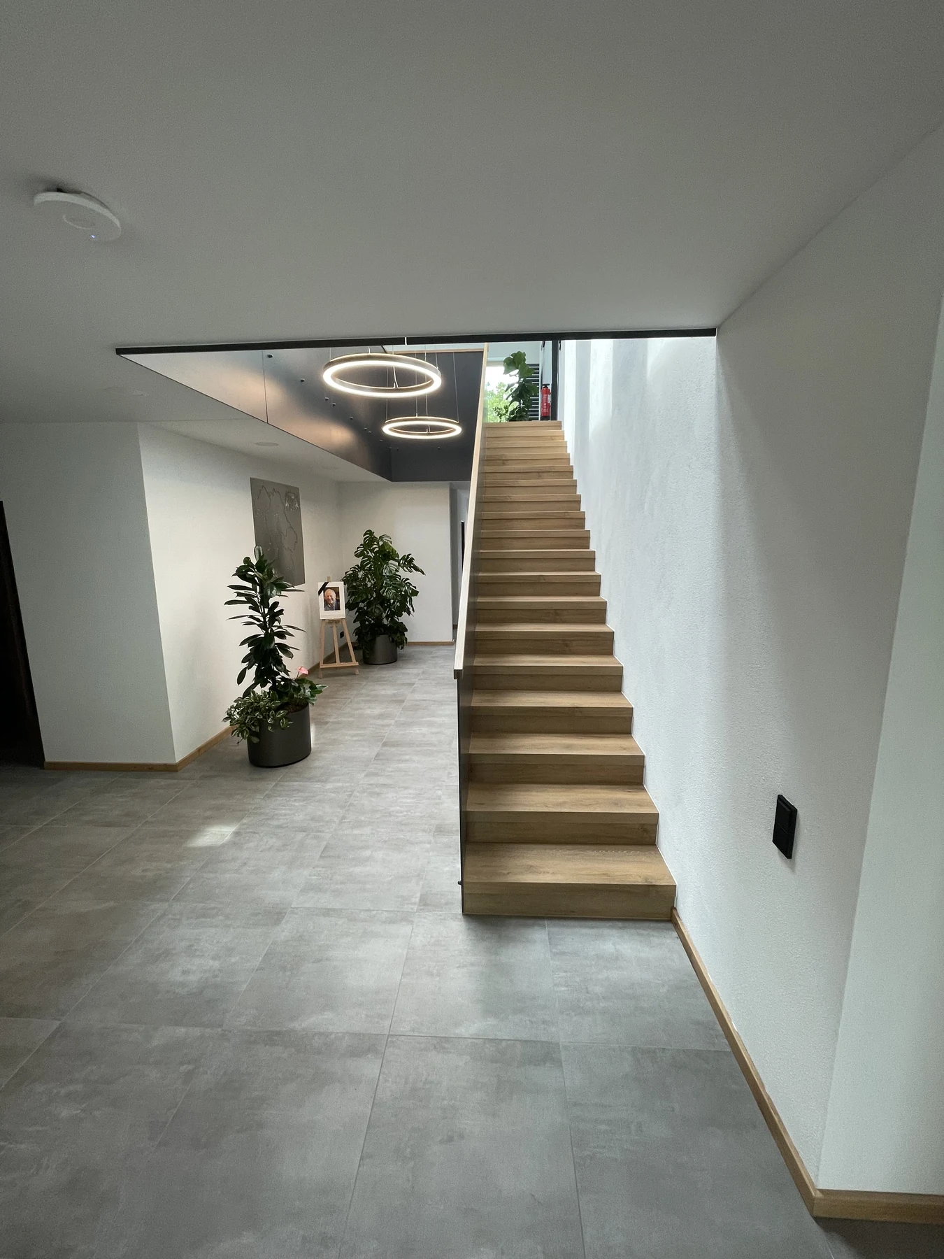 Holztreppe im hellen Foyer mit dunkler Brüstung und hängenden Ringleuchten bei Attenberger in Passau